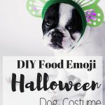 DIY Food Emoji Halloween Dog Costume