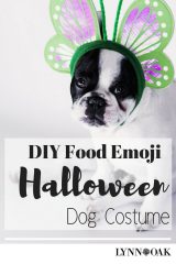DIY Food Emoji Halloween Dog Costume