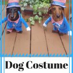 Dog Costume With Arms (1)