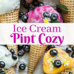 Ice Cream Pint Cosy
