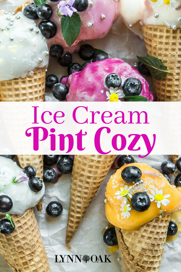Ice Cream Pint Cozy