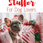 Best Stocking Stuffer For Dog Lovers with Small Dogs